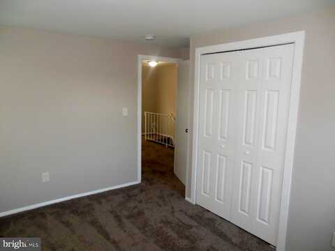 Petunia, WILLINGBORO, NJ 08046