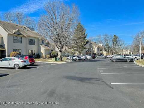 Daffodil, JACKSON, NJ 08527