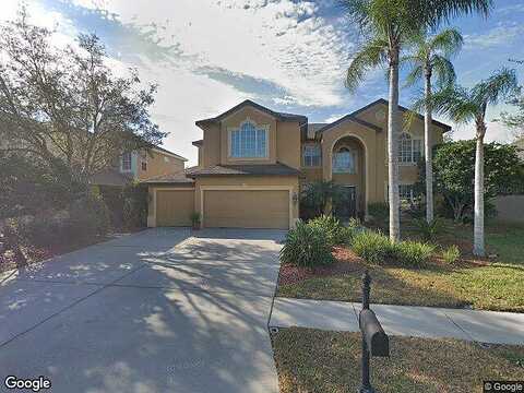 Moreno, PALM HARBOR, FL 34685