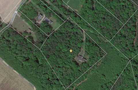 Gibsons, LANEVIEW, VA 22504