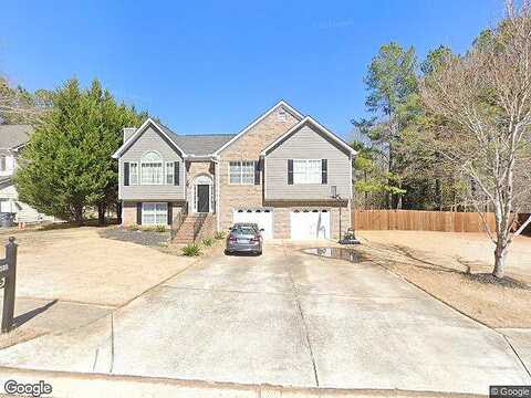 Cougar, DOUGLASVILLE, GA 30135