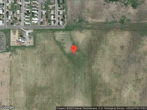 Lily, BENNETT, CO 80102
