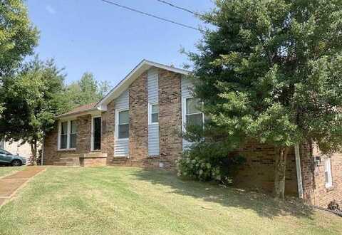 Rainer, OLD HICKORY, TN 37138