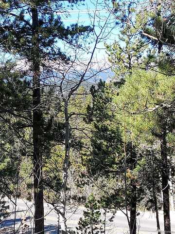 Black Bear, GOLDEN, CO 80403