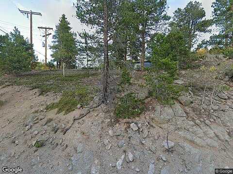 Black Bear, GOLDEN, CO 80403