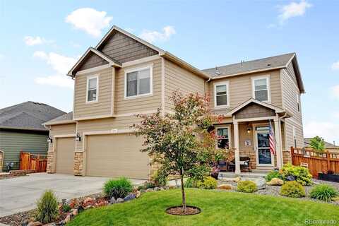 Silver Maple, BRIGHTON, CO 80601