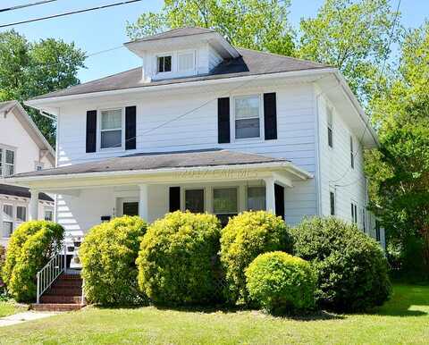 Walnut, POCOMOKE CITY, MD 21851