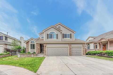 Swadley, ARVADA, CO 80004