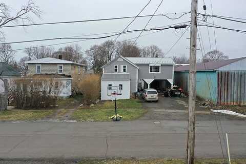 Elm, SILVER CREEK, NY 14136