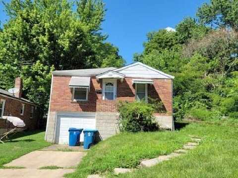 Idlewild, SAINT LOUIS, MO 63136