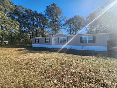 Carey James Rd, MANOR, GA 31550