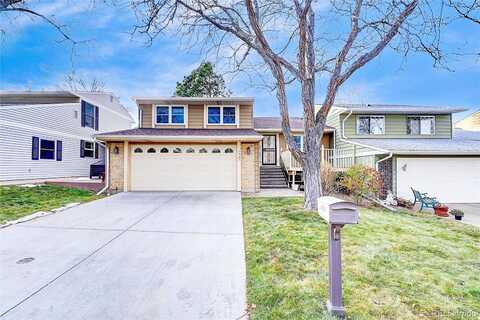 Cedar, LAKEWOOD, CO 80226