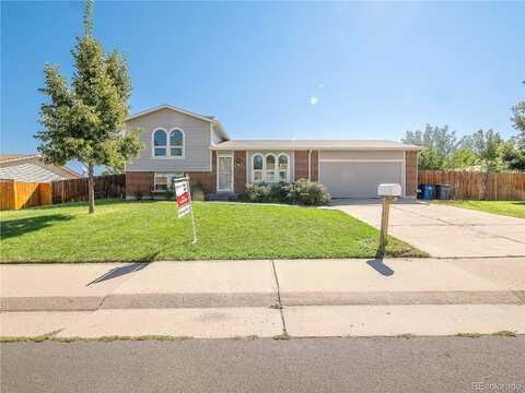 Jay, ARVADA, CO 80003