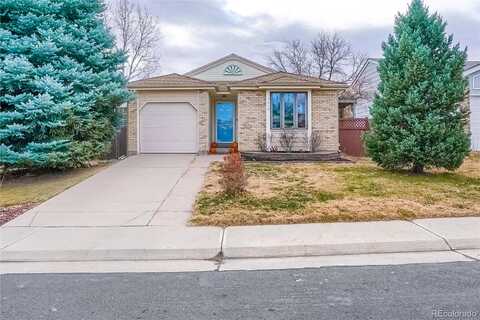 Gray, ARVADA, CO 80003