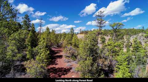 0 Forest Road, Ramah, NM 87321