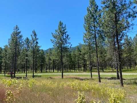 Lot 1a Waterfront West, Thompson Falls, MT 59873