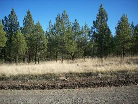 Lot 23 Leiber Lane, Plains, MT 59859