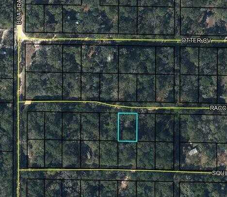 00 Raccoon Run, Caryville, FL 32425