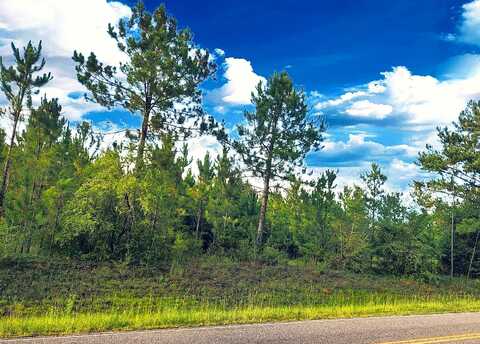 000 Williams Road, DeFuniak Springs, FL 32433