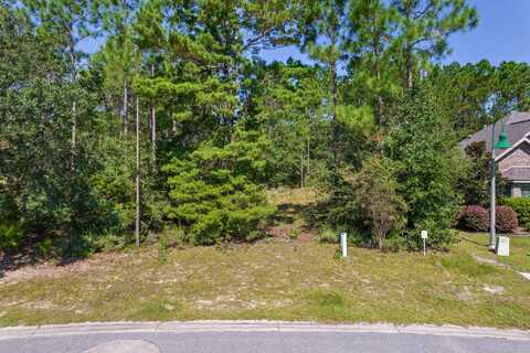 Lot 135 Amadeus Avenue, Freeport, FL 32439