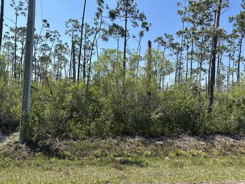 11831 Hauser Road, Panama City, FL 32404