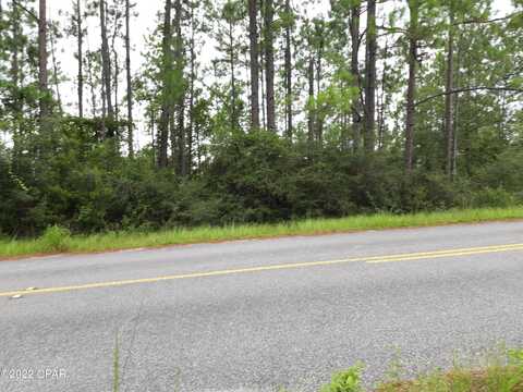 Goldenhills Boulevard, Chipley, FL 32428