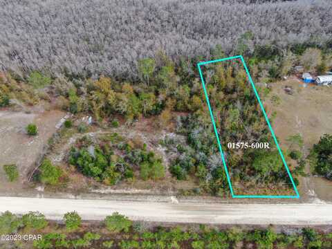 706 Dead Lakes Drive, Wewahitchka, FL 32465