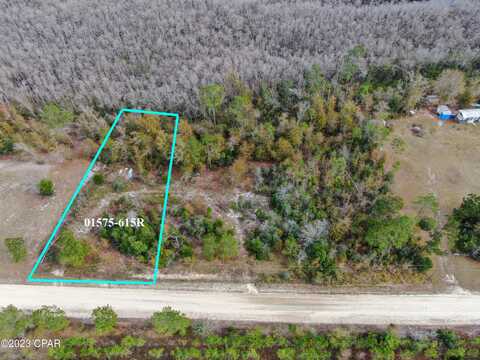 00000 Dead Lakes Drive, Wewahitchka, FL 32465