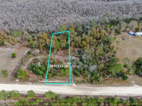 0000 Dead Lakes Drive, Wewahitchka, FL 32465