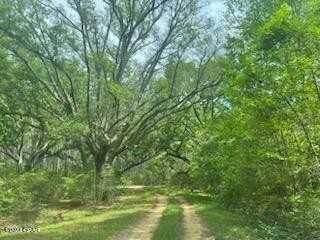 Lot 54 Alder Rd Reedy Creek Crossing, Westville, FL 32464