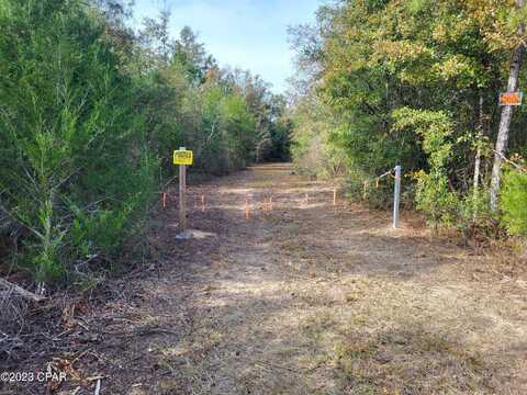 00 NW White Pond Road, Altha, FL 32421