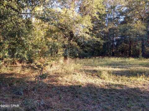 0 Marian Drive, Bonifay, FL 32425