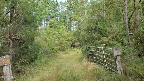 00 Buttercup Lane, Marianna, FL 32446