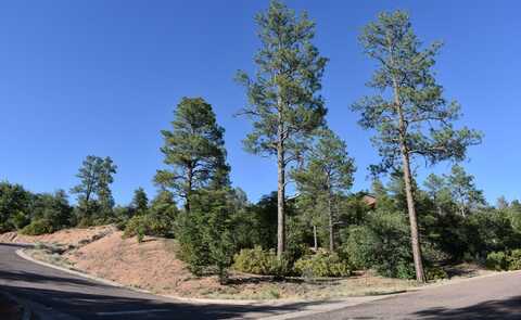 Lot 19 E PINE RIDGE Drive, Star Valley, AZ 85541