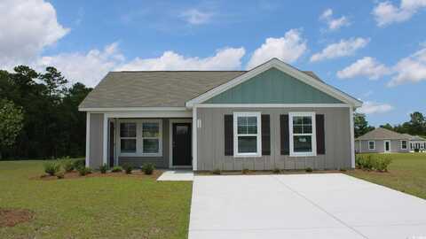 132 Teddy Bear Circle, Conway, SC 29526