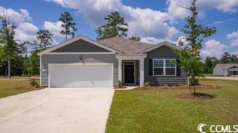 728 Planters Moon Dr., Galivants Ferry, SC 29544