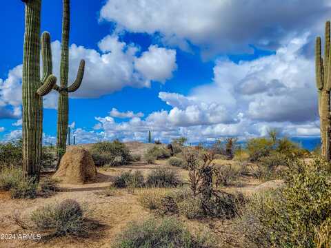 27777 N 95th Street, Scottsdale, AZ 85262