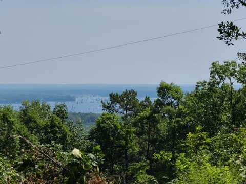 Pine Mountain Drive, Conway, AR 72034