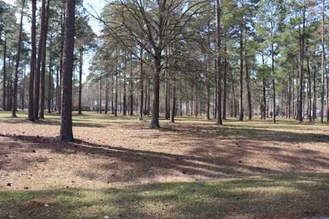 Lot # 28 Cannon Branch, Cordele, GA 31015