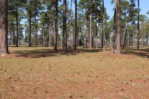 Lot 31 Cannon Branch, Cordele, GA 31015