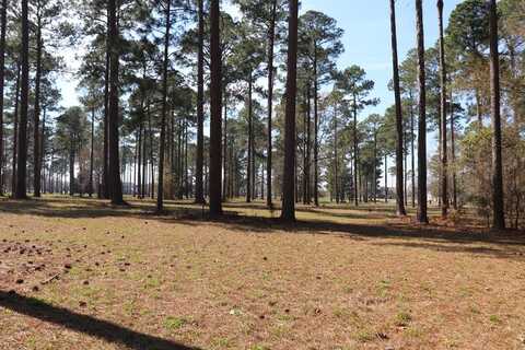 Lot #35 Cannon Branch, Cordele, GA 31015