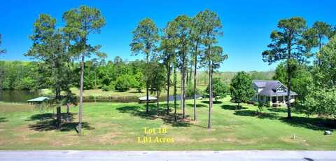 Lot # 18 Cannon Branch, Cordele, GA 31015
