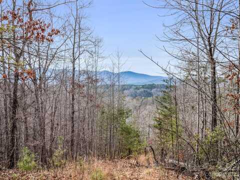 Lot 4 Parkway North Road, Mill Spring, NC 28756