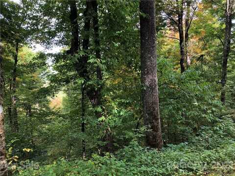 Lot 25 YOUNG BEAR Trail, Maggie Valley, NC 28751