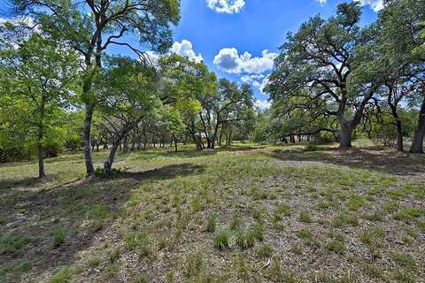 110 Vaquero Dr, Blanco, TX 78606