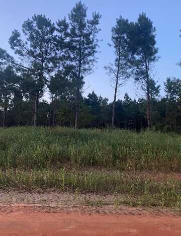 Lot 14 White Elk Lane, Ellisville, MS 39437