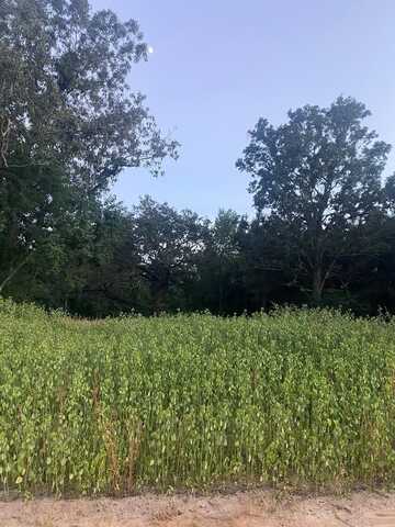 Lot1 Hoskins Creek Rd., Ellisville, MS 39437