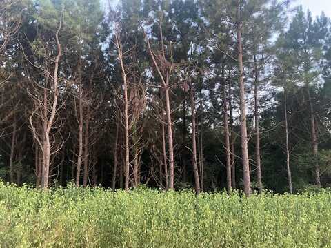 Lot 11 Walden Way, Ellisville, MS 39437