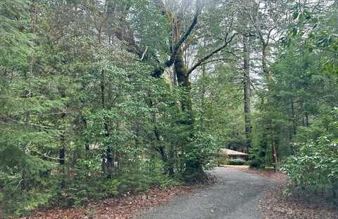 Redwood, SELMA, OR 97538