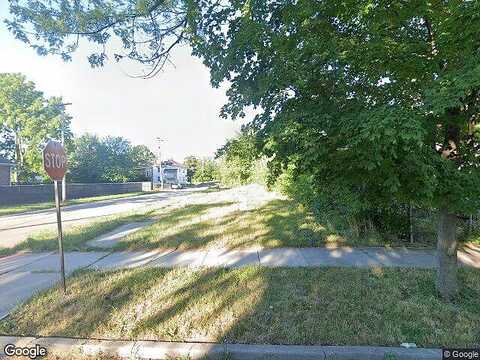 Belvidere, DETROIT, MI 48213